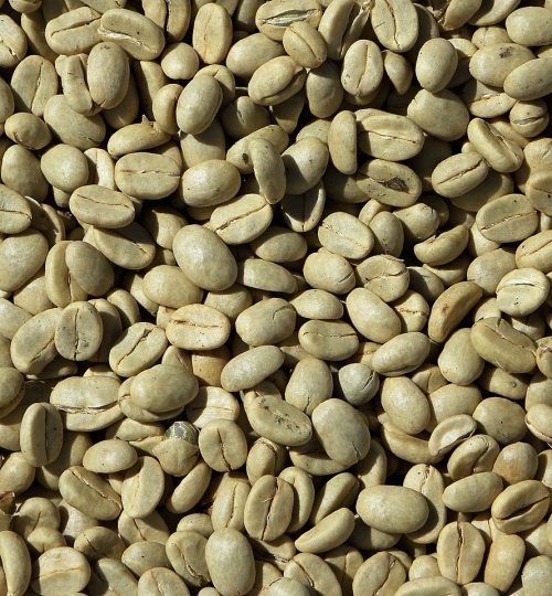 raw coffee, coffee beans, coffee-927604.jpg